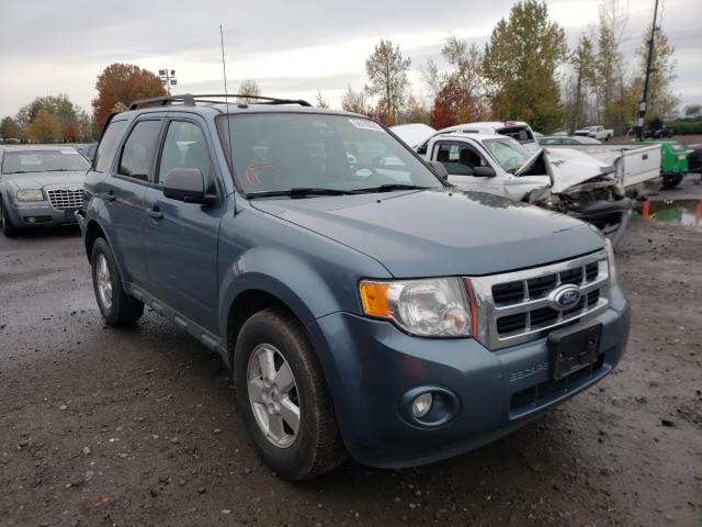 FORD ESCAPE XLT 2010 1fmcu9dg5akb53133