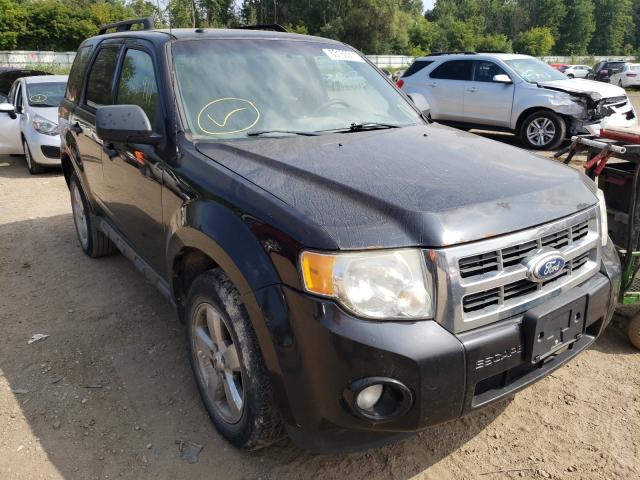 FORD ESCAPE 2010 1fmcu9dg5akc58836