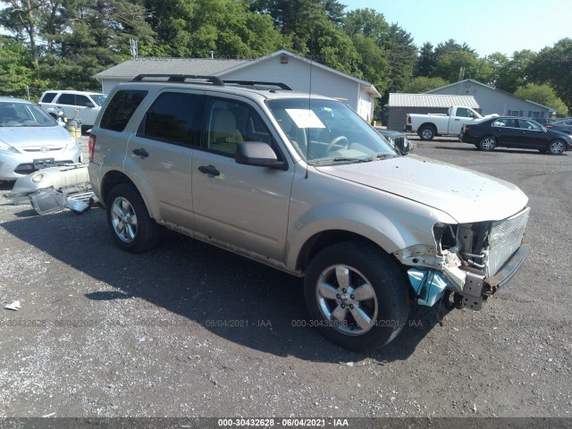 FORD ESCAPE 2010 1fmcu9dg5akd09106