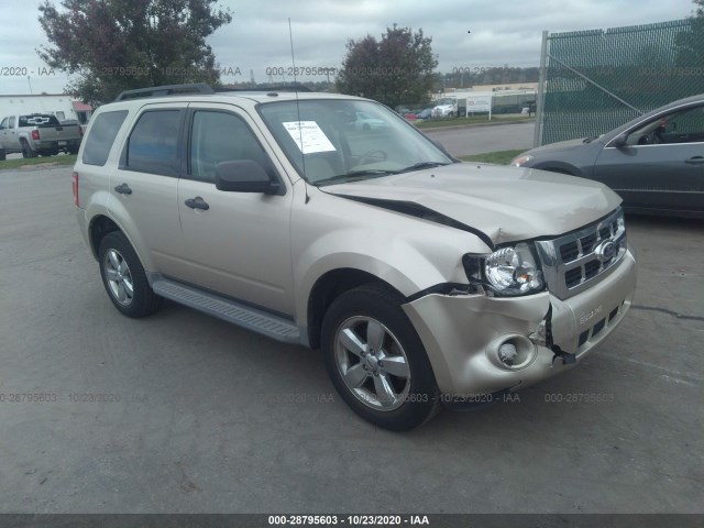 FORD ESCAPE 2011 1fmcu9dg5bka36279