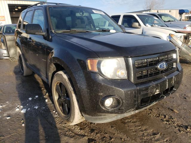 FORD ESCAPE XLT 2011 1fmcu9dg5bka85773