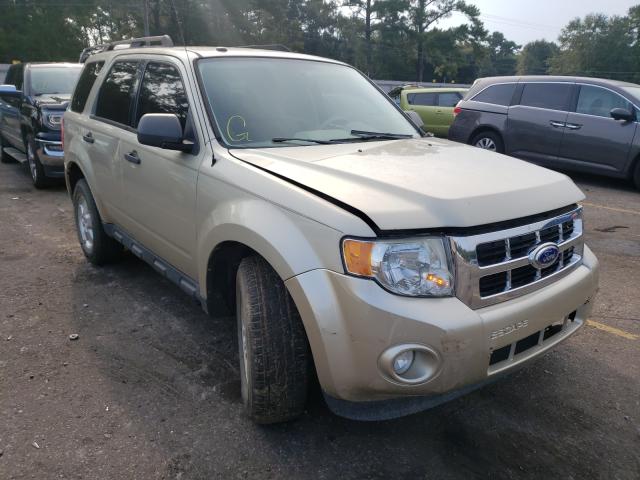 FORD ESCAPE XLT 2011 1fmcu9dg5bkc12232