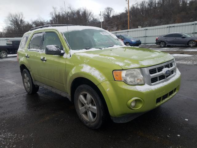 FORD ESCAPE XLT 2011 1fmcu9dg5bkc49703