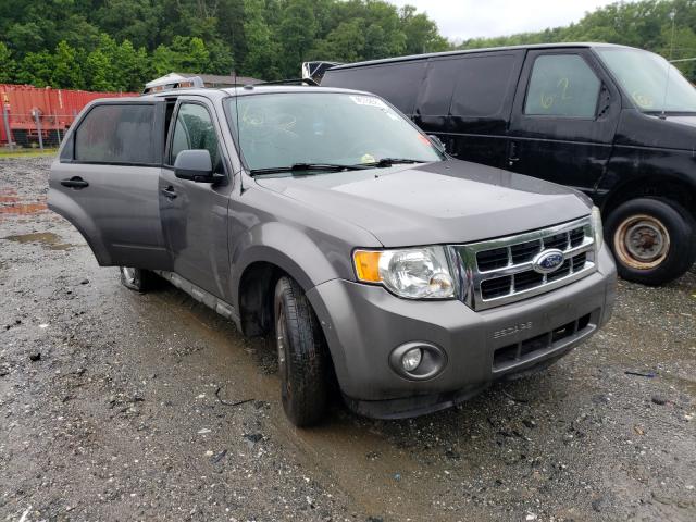 FORD ESCAPE XLT 2010 1fmcu9dg6aka08358