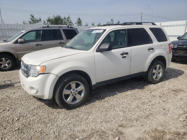 FORD ESCAPE 2010 1fmcu9dg6akc38675