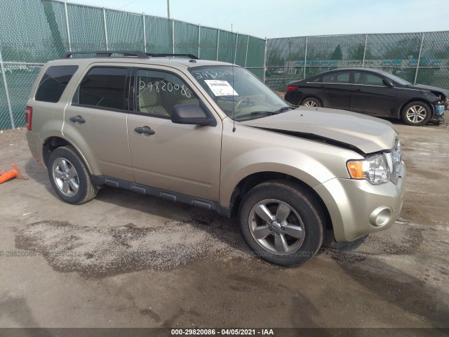 FORD ESCAPE 2010 1fmcu9dg6akc51166