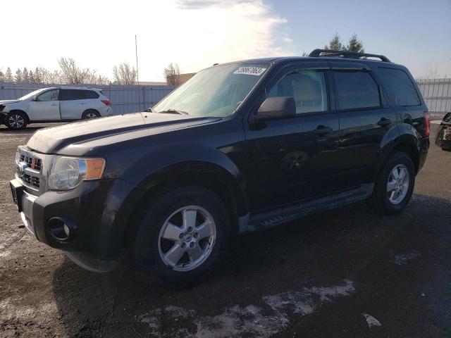 FORD ESCAPE XLT 2010 1fmcu9dg6akd22480