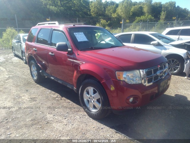 FORD ESCAPE 2010 1fmcu9dg6akd30563