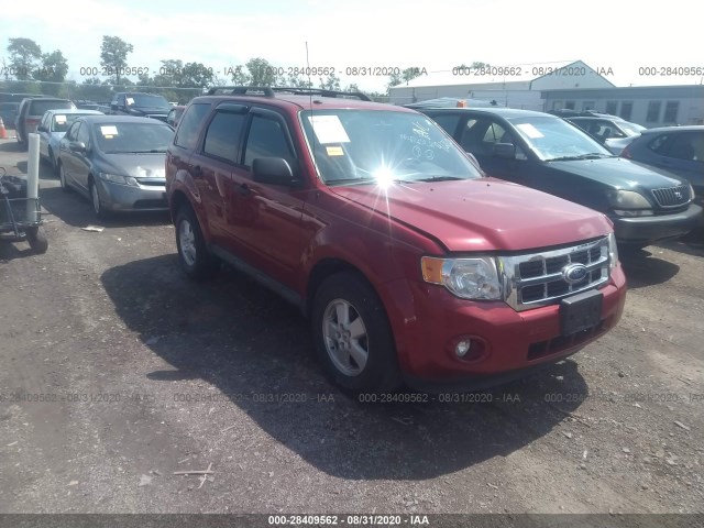 FORD ESCAPE 2011 1fmcu9dg6bkb01799