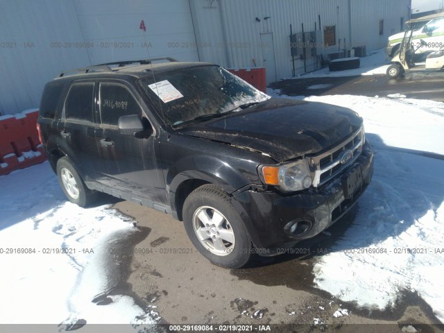 FORD ESCAPE 2011 1fmcu9dg6bkb72789