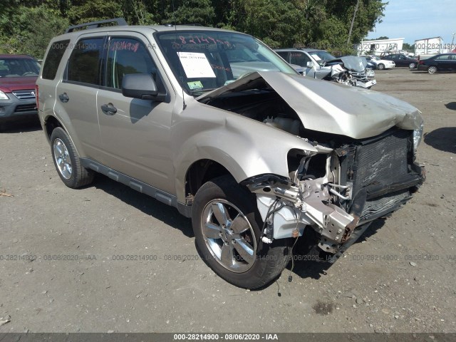 FORD ESCAPE 2011 1fmcu9dg6bkc35261