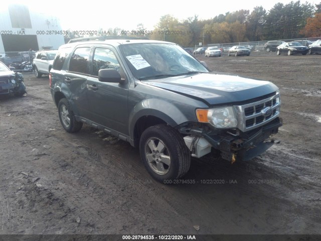 FORD ESCAPE 2010 1fmcu9dg7aka46066