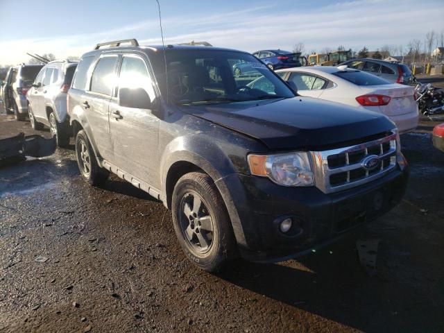 FORD ESCAPE XLT 2010 1fmcu9dg7akc52245