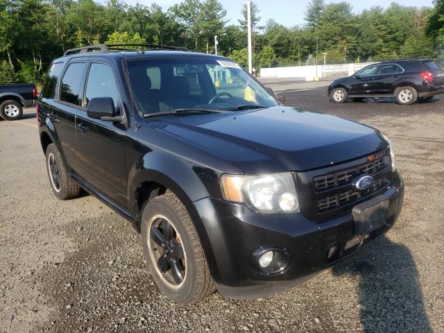 FORD ESCAPE XLT 2010 1fmcu9dg7akc68073