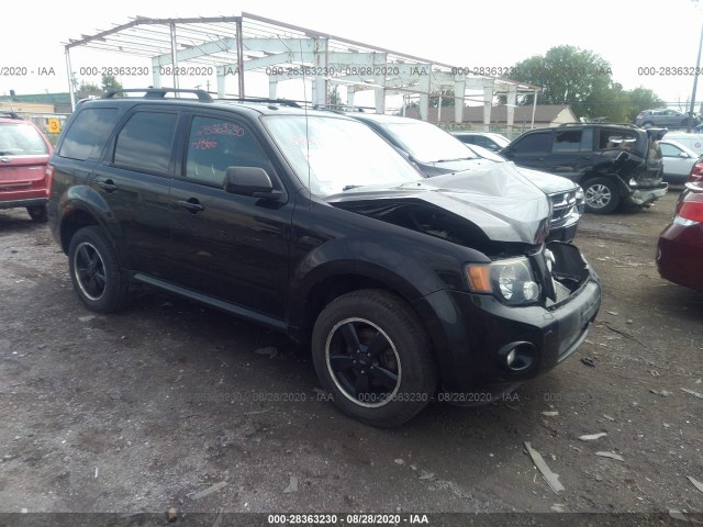 FORD ESCAPE 2010 1fmcu9dg7akc68994