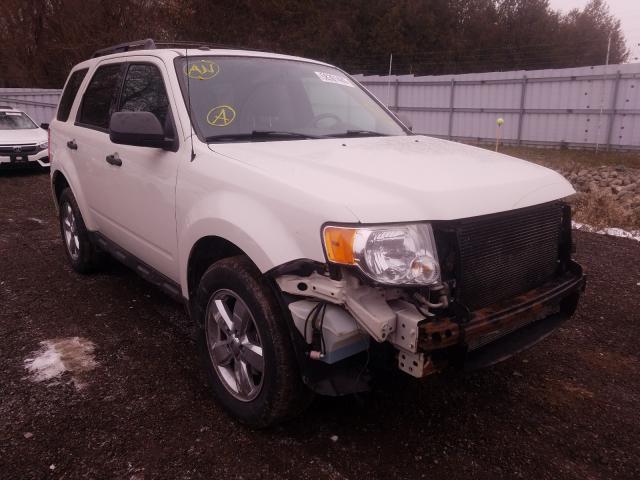 FORD ESCAPE XLT 2010 1fmcu9dg7akc98951