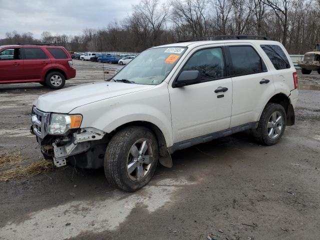 FORD ESCAPE 2010 1fmcu9dg7akd38610