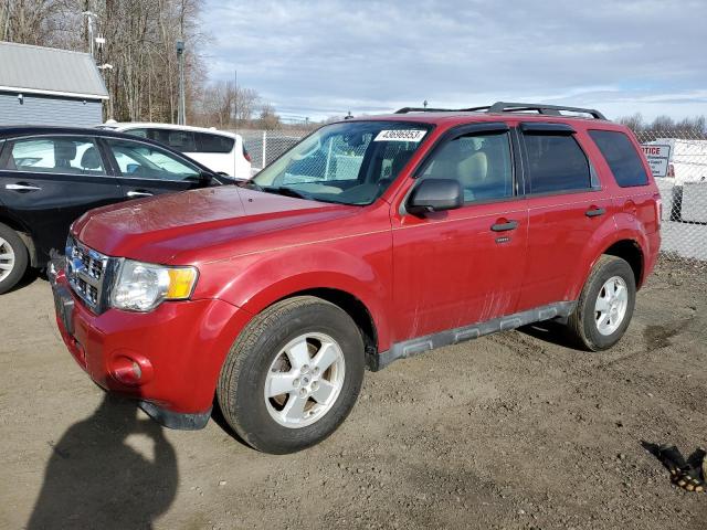 FORD ESCAPE XLT 2011 1fmcu9dg7bka69820