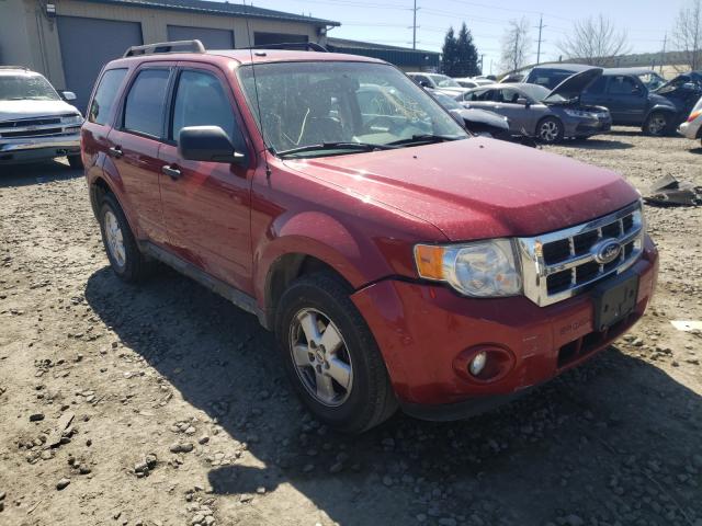 FORD ESCAPE XLT 2011 1fmcu9dg7bkb25674