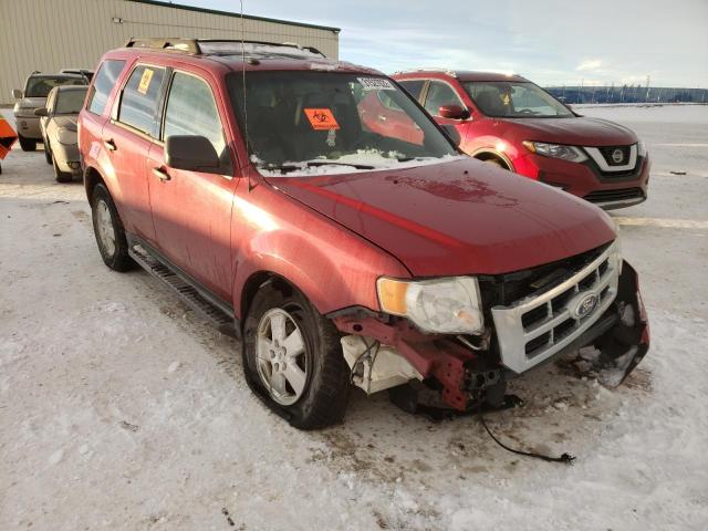 FORD ESCAPE XLT 2011 1fmcu9dg7bkb41731