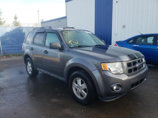 FORD ESCAPE XLT 2011 1fmcu9dg7bkb80951