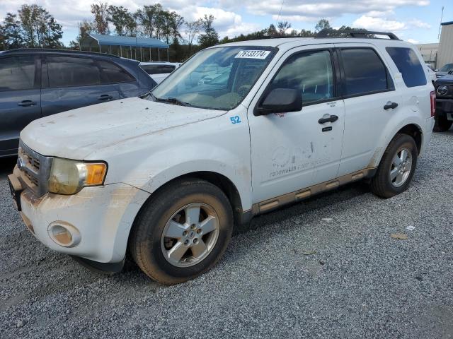 FORD ESCAPE XLT 2011 1fmcu9dg7bkb99175