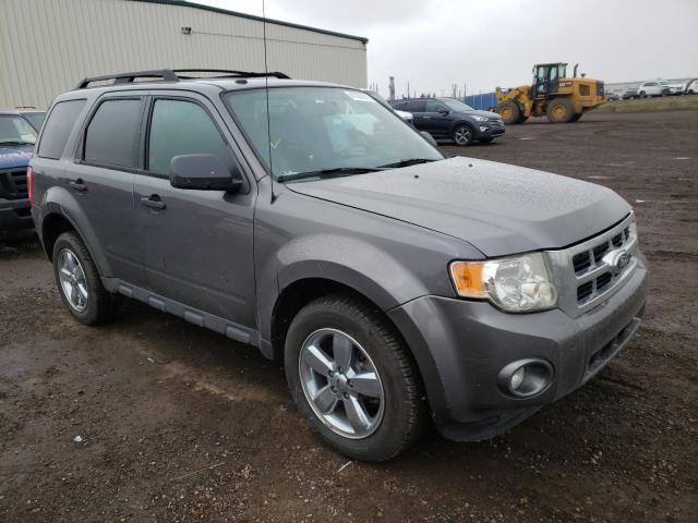 FORD ESCAPE XLT 2011 1fmcu9dg7bkc67734