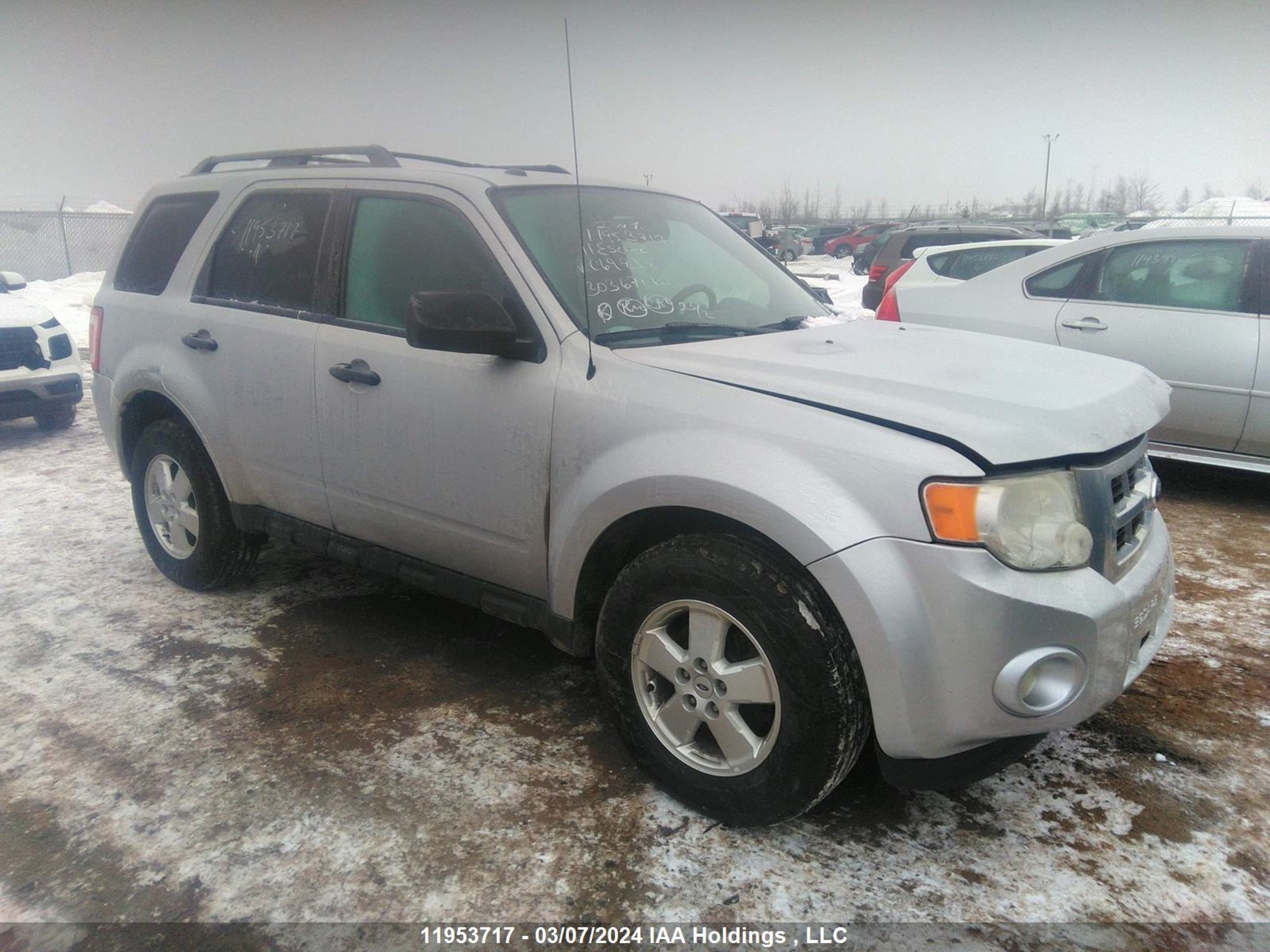 FORD ESCAPE 2011 1fmcu9dg7bkc69838