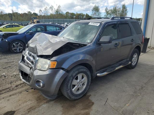 FORD ESCAPE XLT 2012 1fmcu9dg7ckb99856