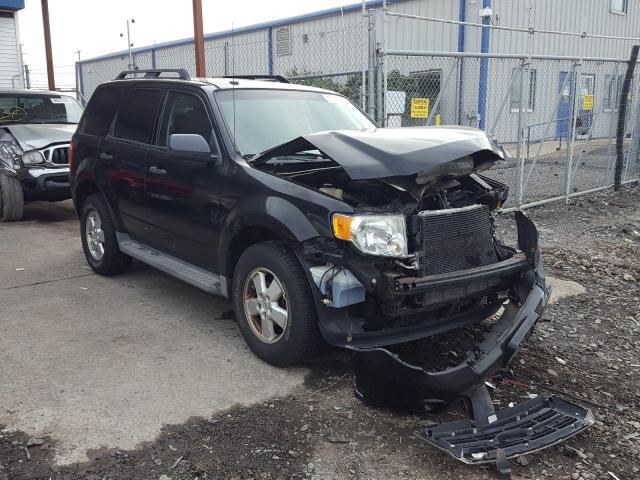 FORD ESCAPE XLT 2010 1fmcu9dg8akb09630