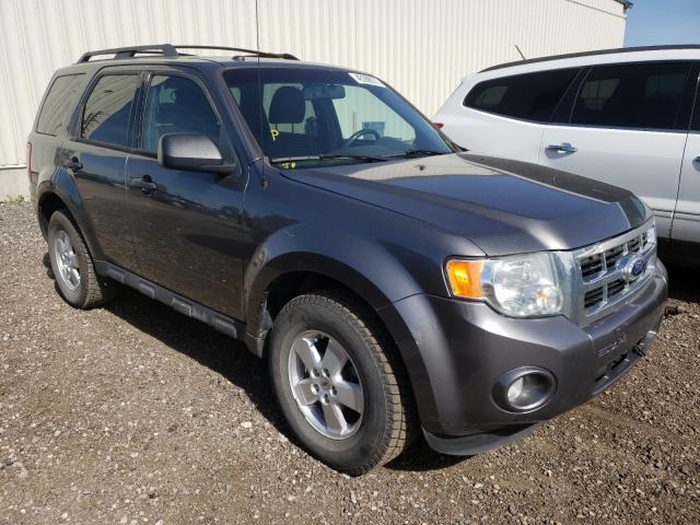 FORD ESCAPE XLT 2010 1fmcu9dg8akb39307