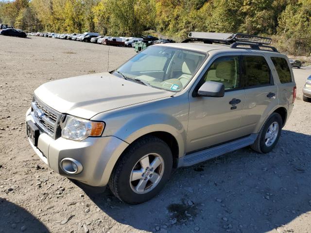 FORD ESCAPE XLT 2010 1fmcu9dg8akc69328