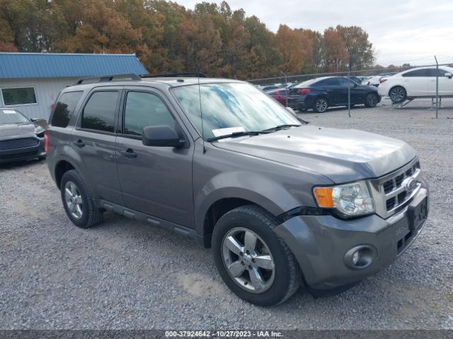 FORD ESCAPE 2010 1fmcu9dg8akc83665