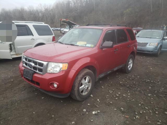 FORD ESCAPE XLT 2011 1fmcu9dg8bkb08768