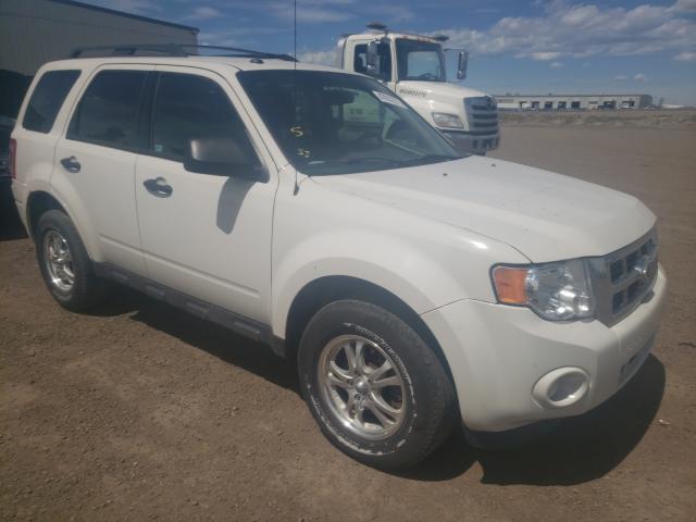 FORD ESCAPE XLT 2011 1fmcu9dg8bkb30835