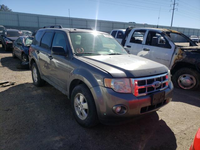 FORD ESCAPE XLT 2011 1fmcu9dg8bkb53791