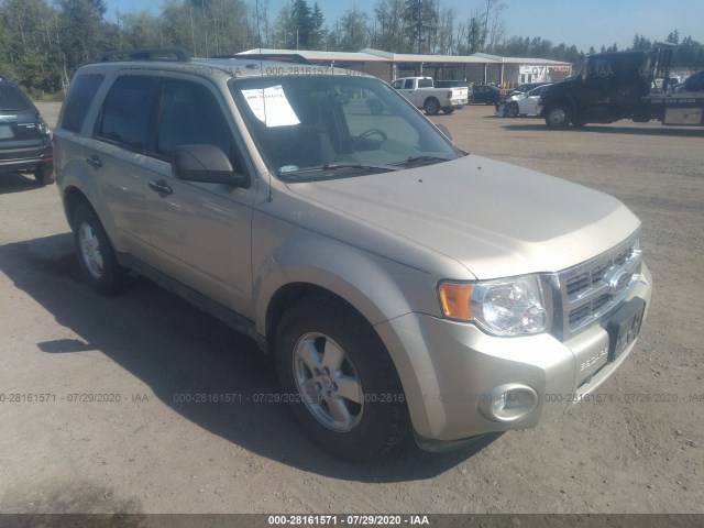 FORD ESCAPE 2012 1fmcu9dg8cka59413