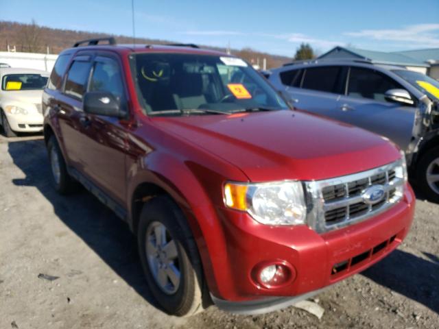 FORD ESCAPE XLT 2012 1fmcu9dg8ckb56451