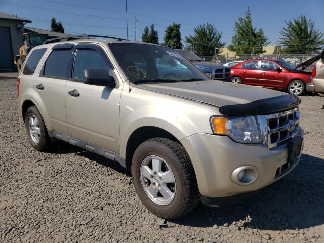 FORD ESCAPE XLT 2010 1fmcu9dg9aka10475