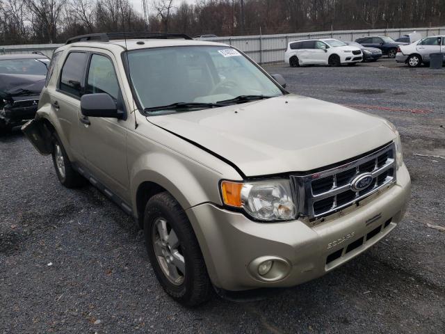 FORD ESCAPE XLT 2010 1fmcu9dg9aka79554