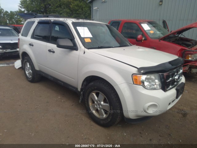 FORD ESCAPE 2010 1fmcu9dg9akc39612