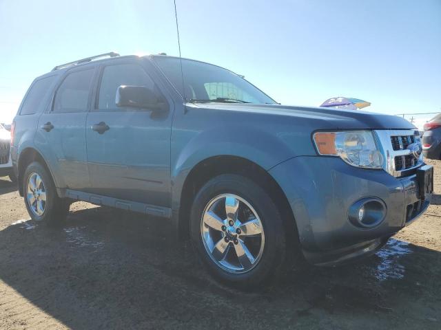 FORD ESCAPE XLT 2010 1fmcu9dg9akc67748