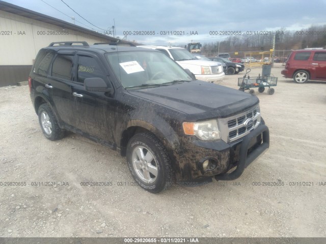 FORD ESCAPE 2010 1fmcu9dg9akc90589