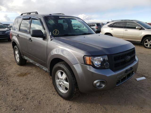 FORD ESCAPE XLT 2010 1fmcu9dg9akd06855