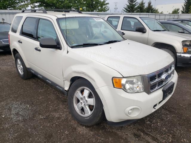 FORD ESCAPE XLT 2010 1fmcu9dg9akd35658