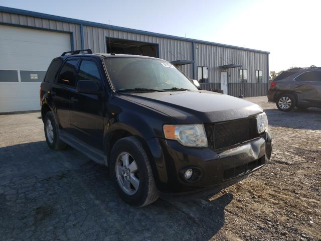 FORD ESCAPE XLT 2011 1fmcu9dg9bka42151