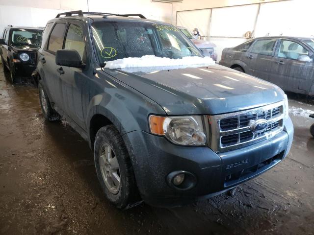 FORD ESCAPE XLT 2011 1fmcu9dg9bkb12506