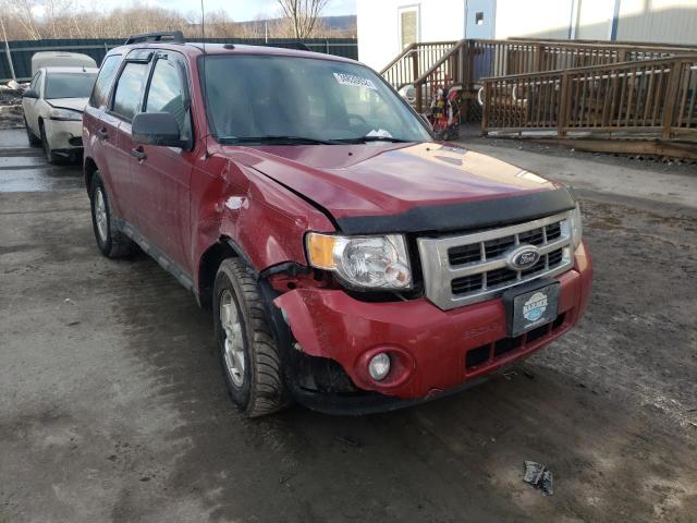 FORD ESCAPE XLT 2011 1fmcu9dg9bkb43688