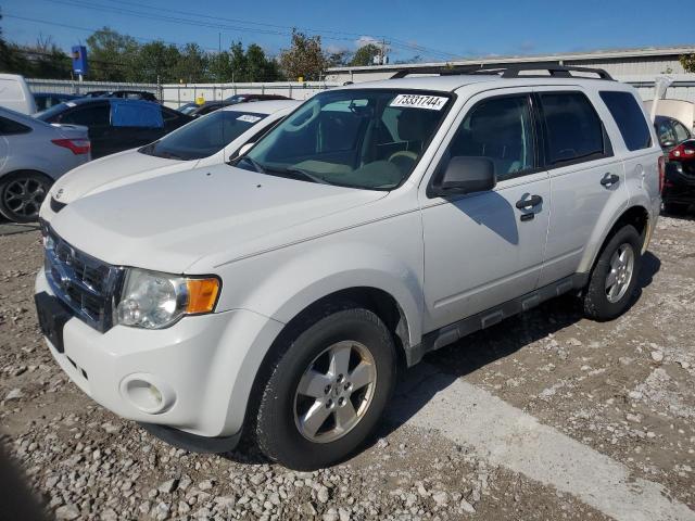 FORD ESCAPE XLT 2011 1fmcu9dg9bkb47529