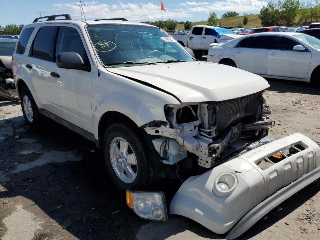 FORD ESCAPE XLT 2011 1fmcu9dg9bkb72768